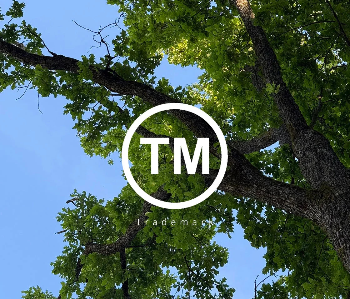 DABA DECO Officially Registered as an EU Trademark - Daba Deco