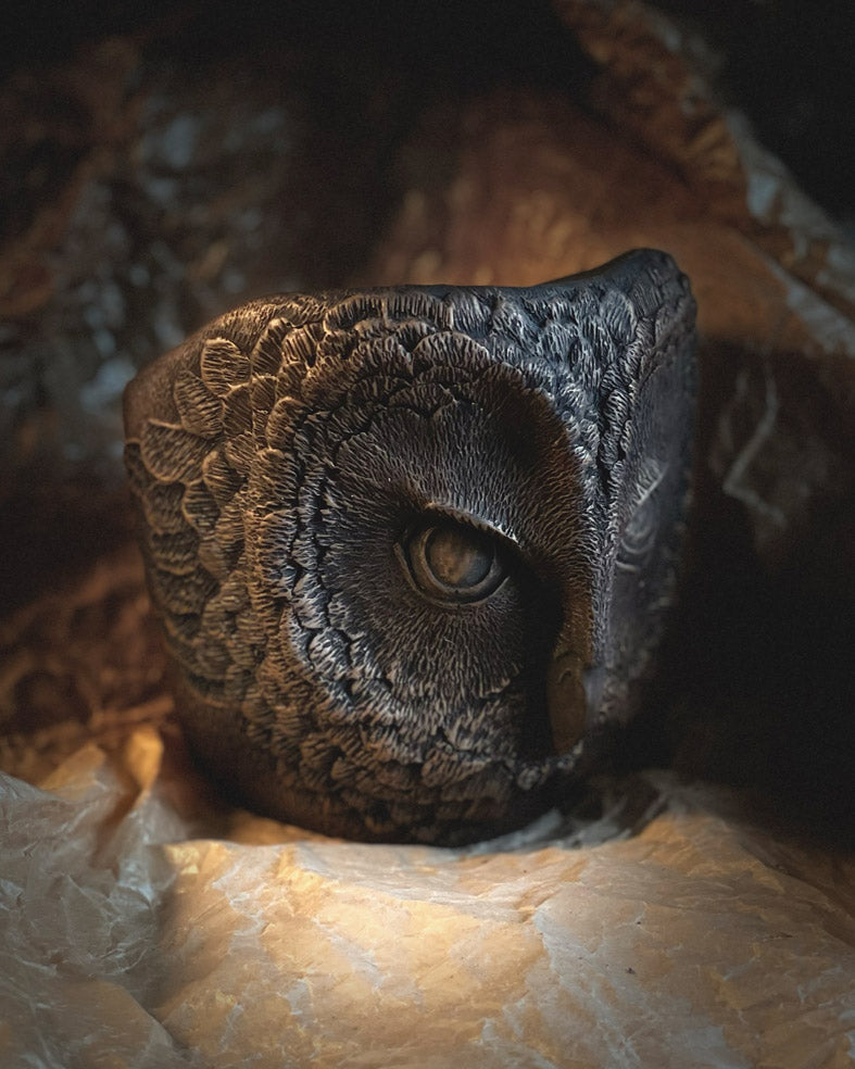 Owl