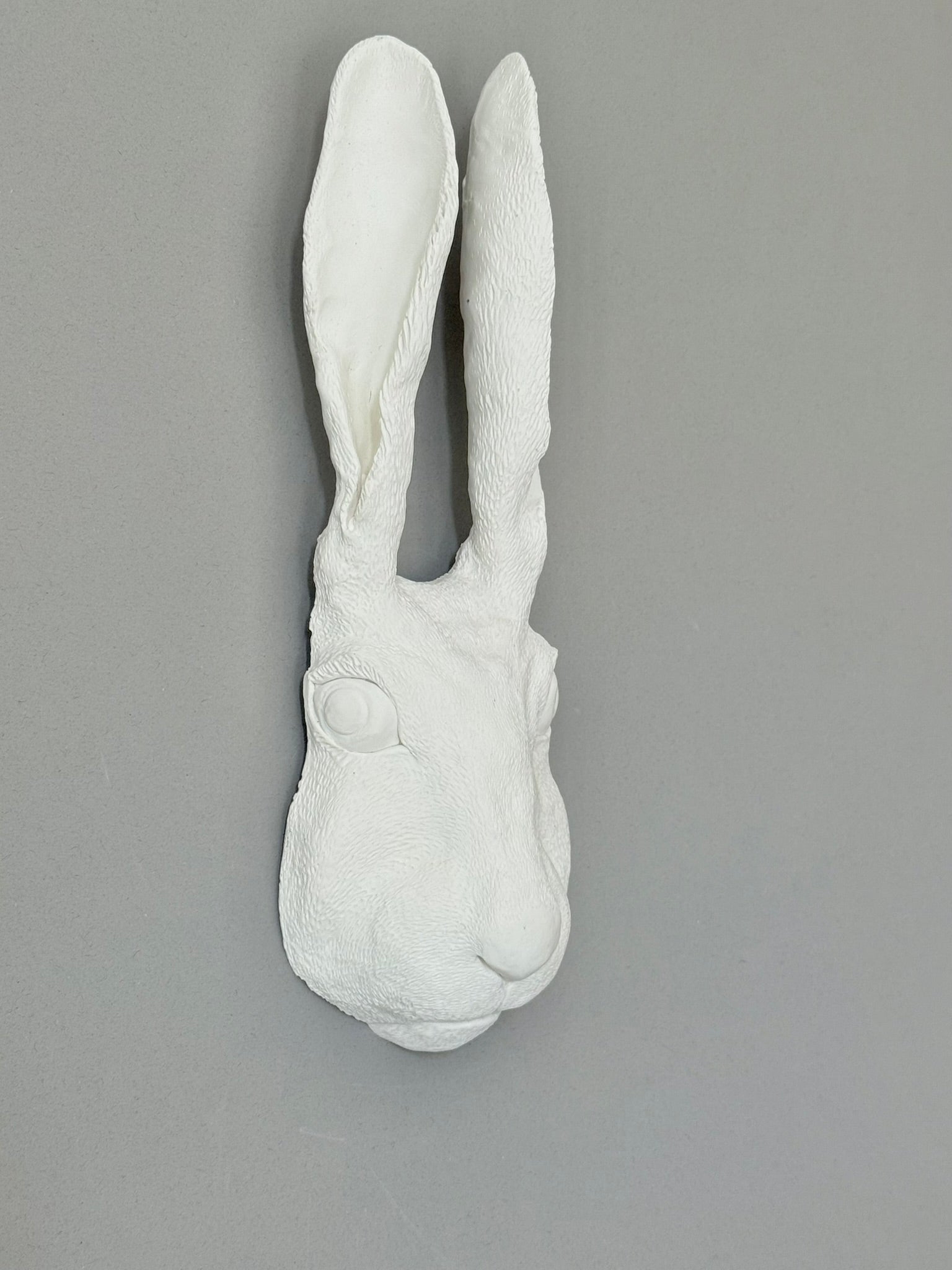 Hare