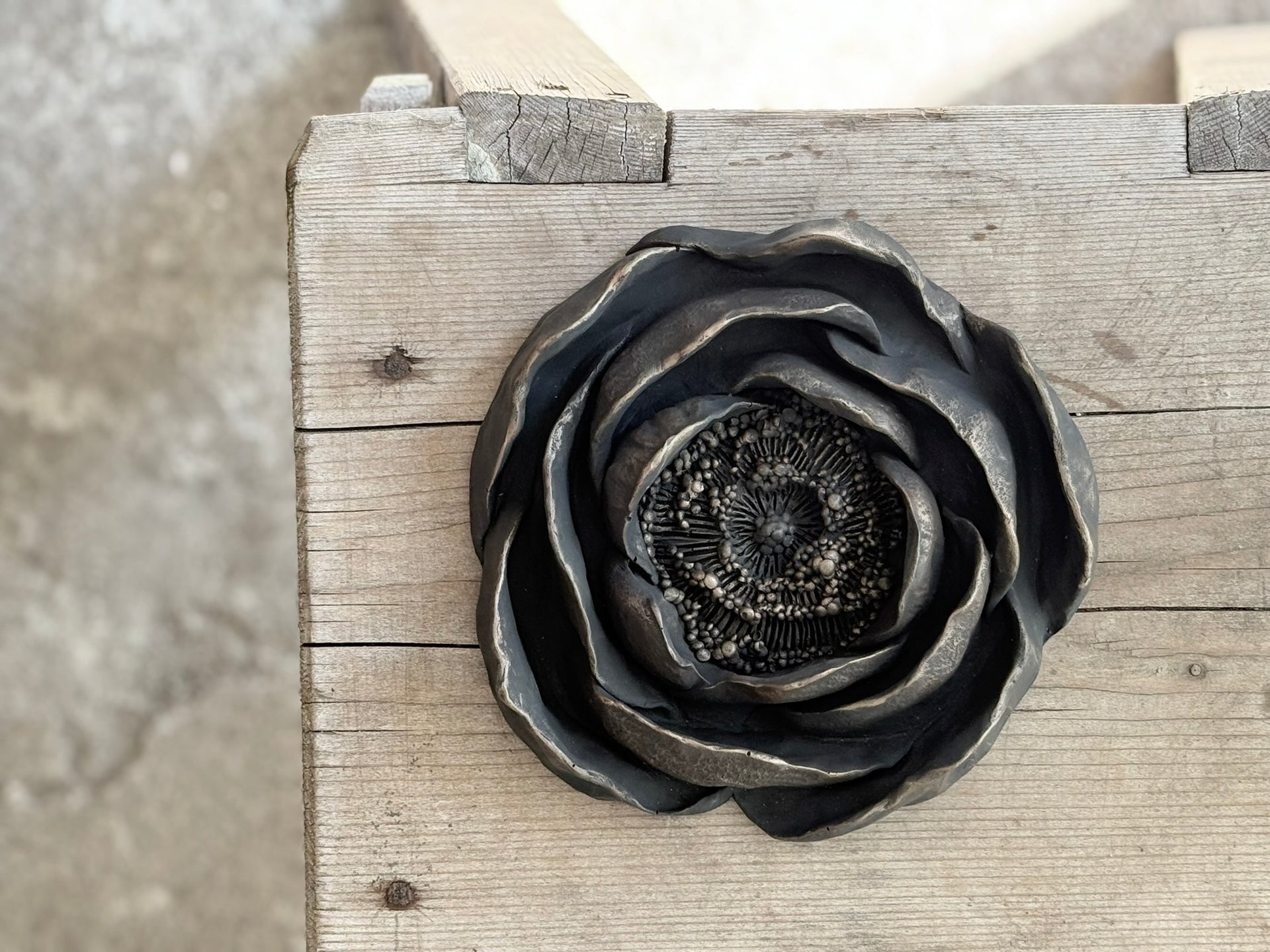 Globeflower Flourish 17cm