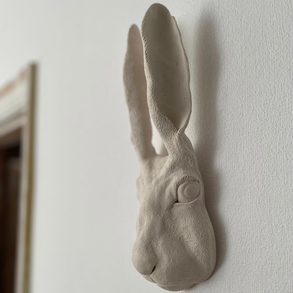 Hare