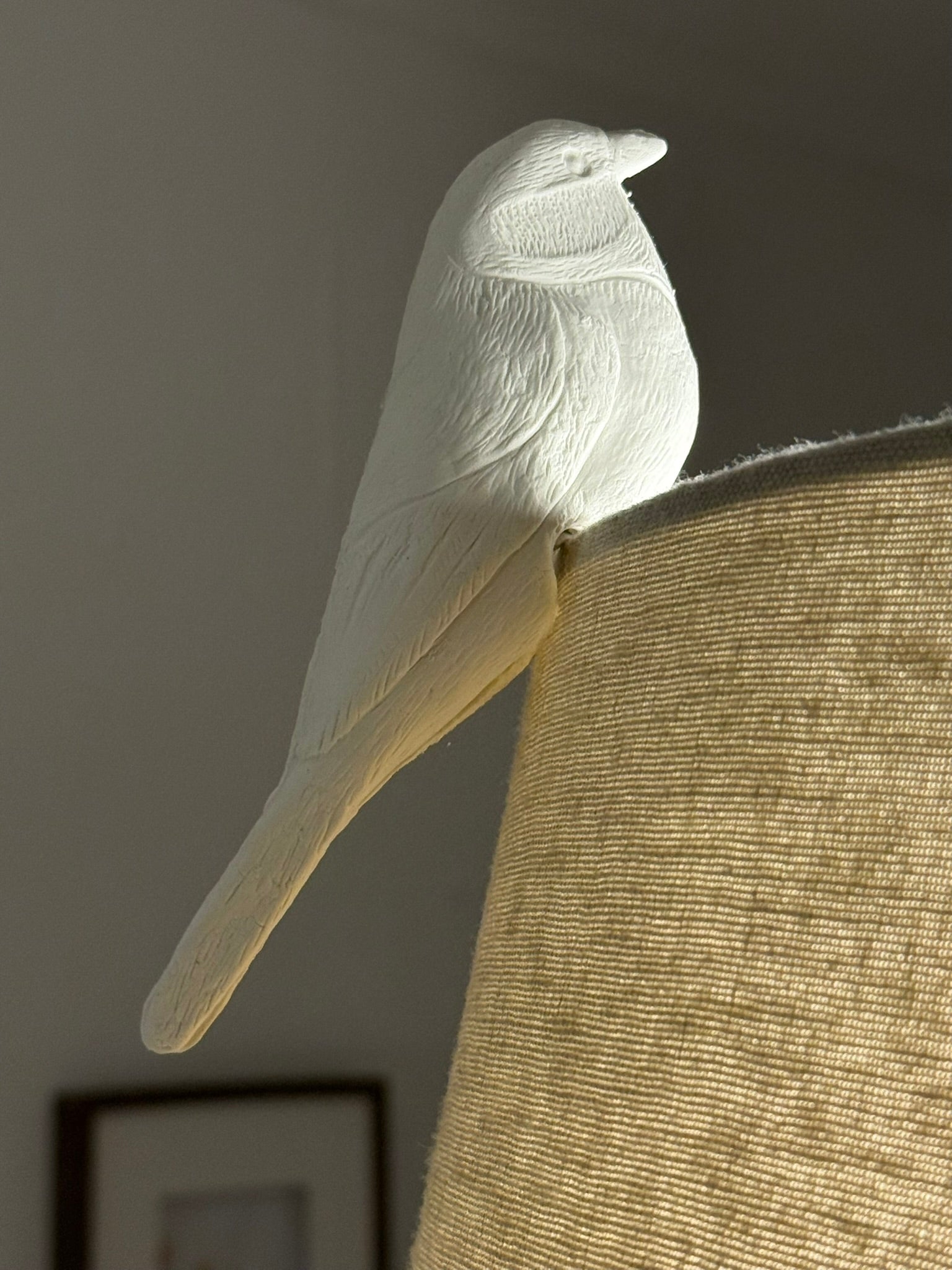 Tit Bird