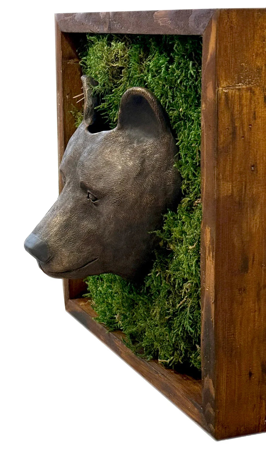 Framed Bear Sculpture for beautiful Interior Designs by  DABA Deco