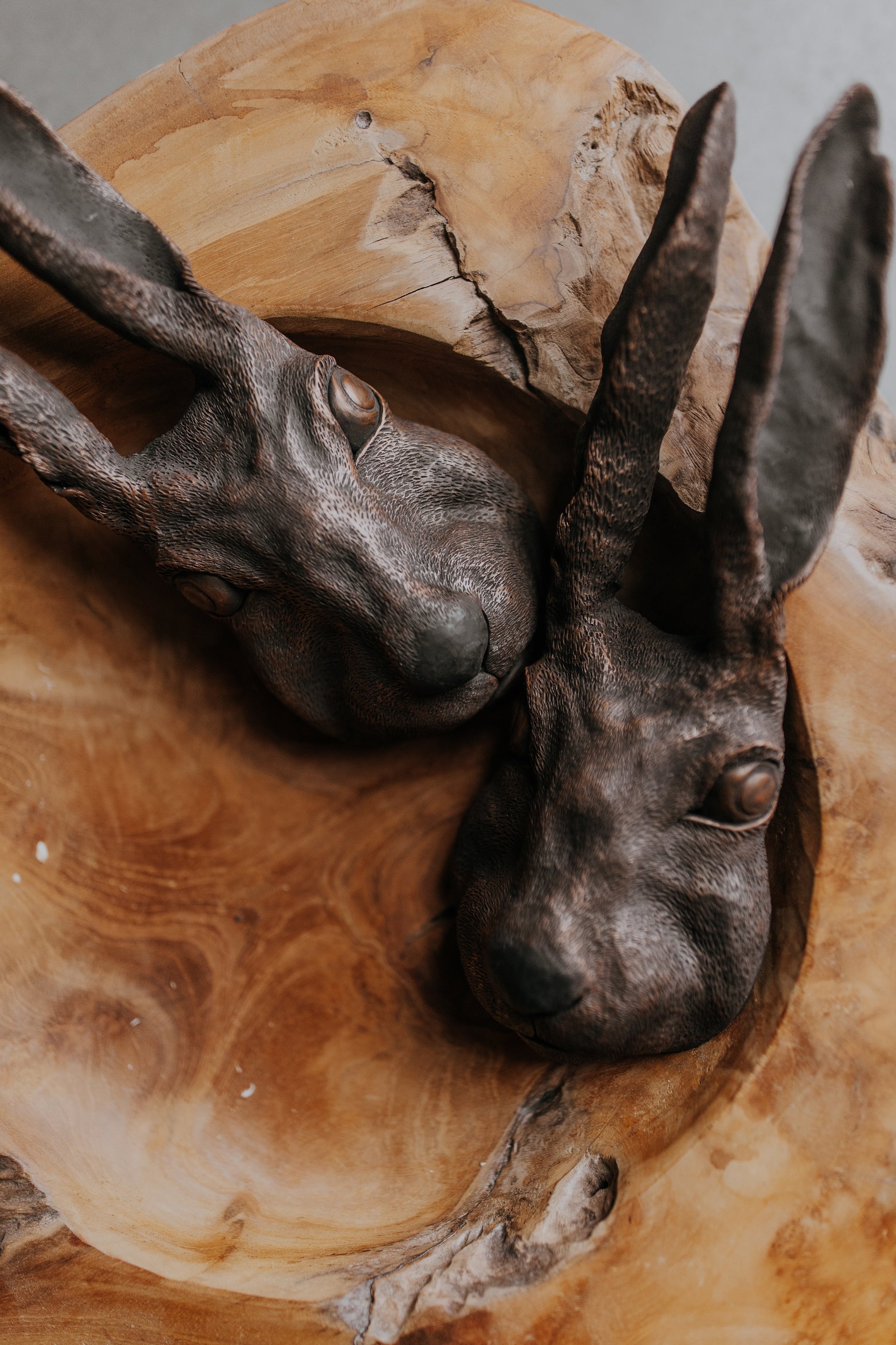 Hare