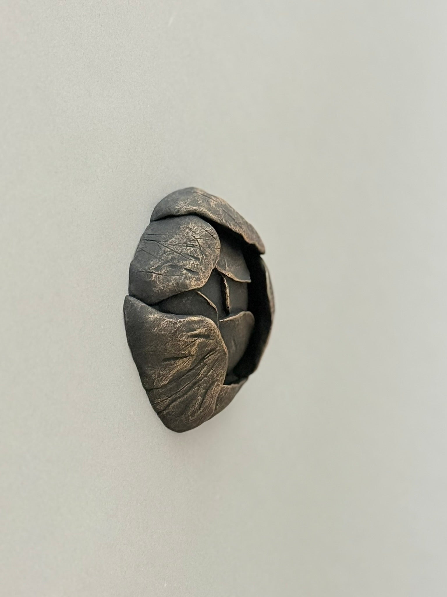 Globeflower Bud 10cm