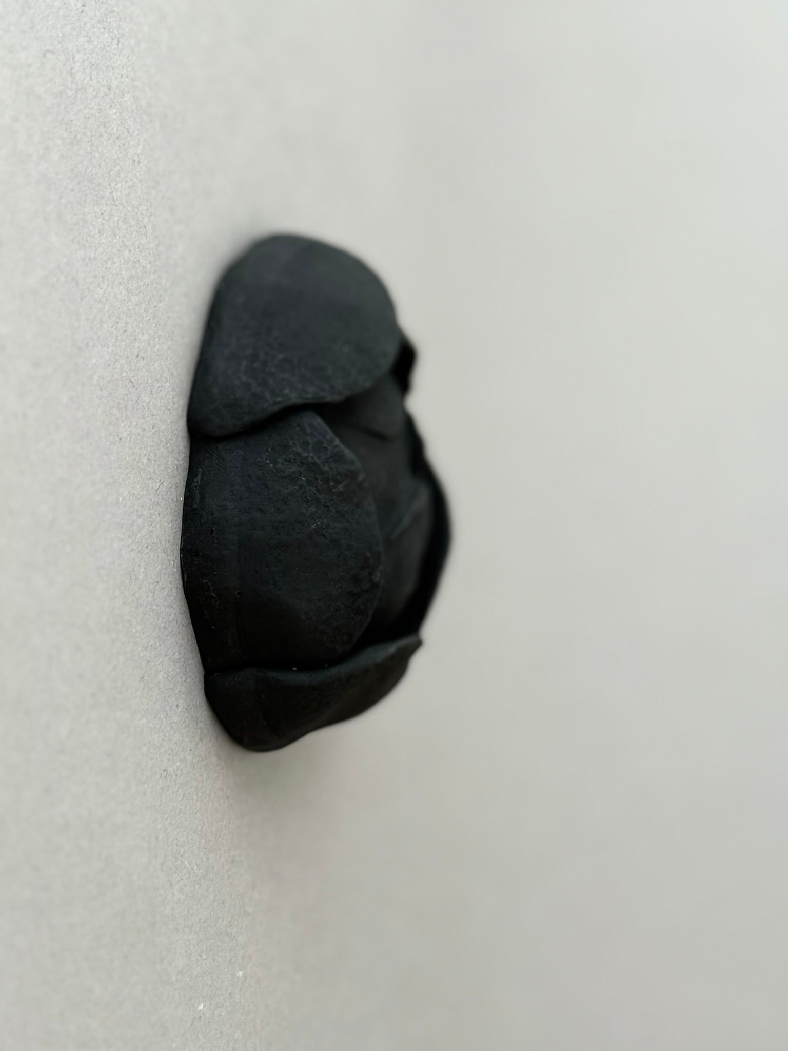 Globeflower Sprout 6cm