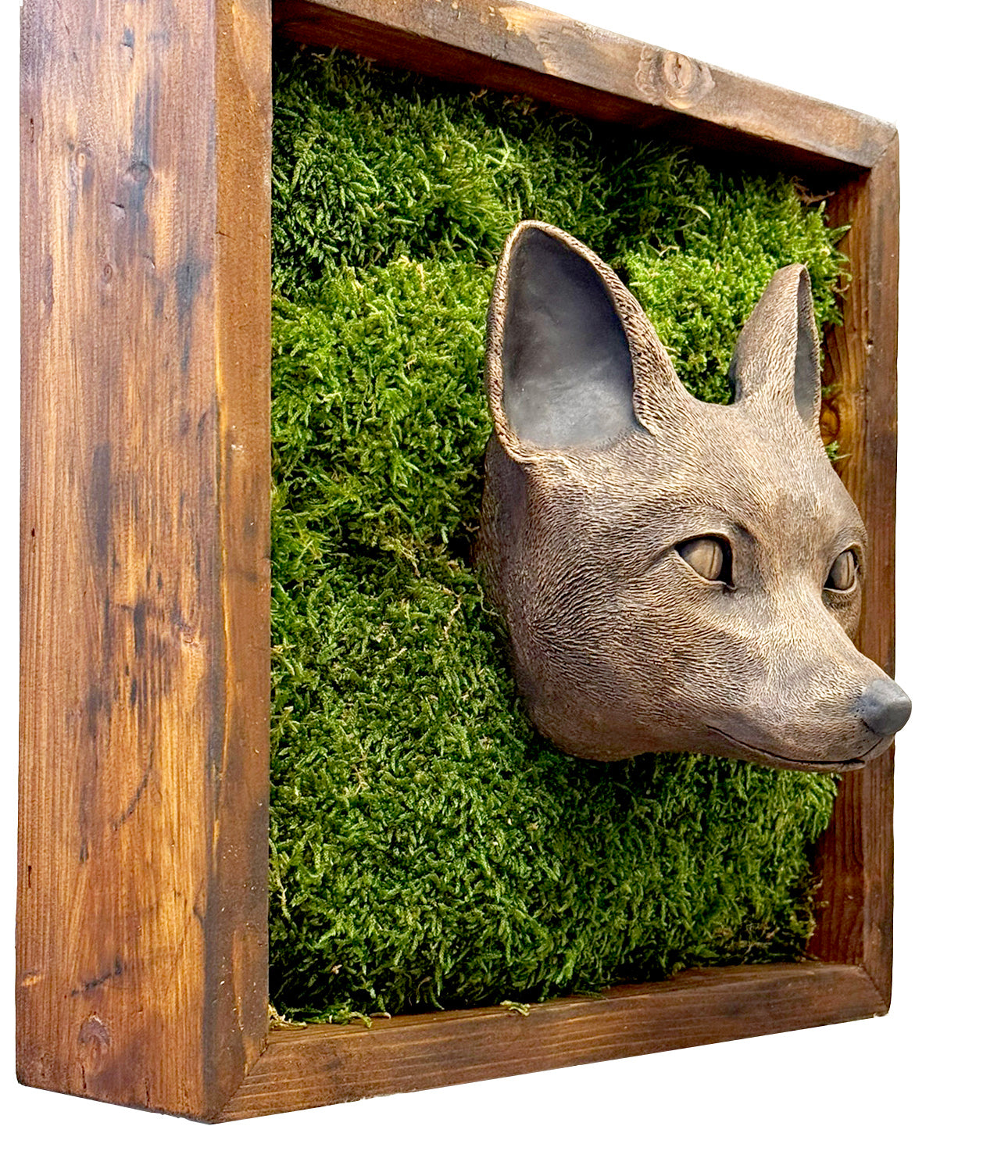 Moss frame with animal