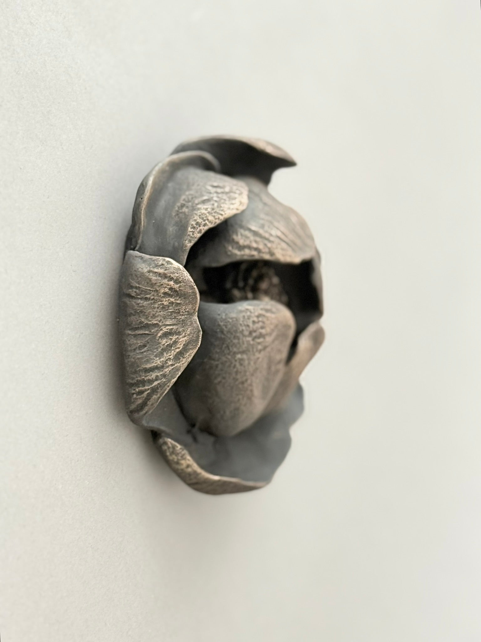 Globeflower Blossom 11cm