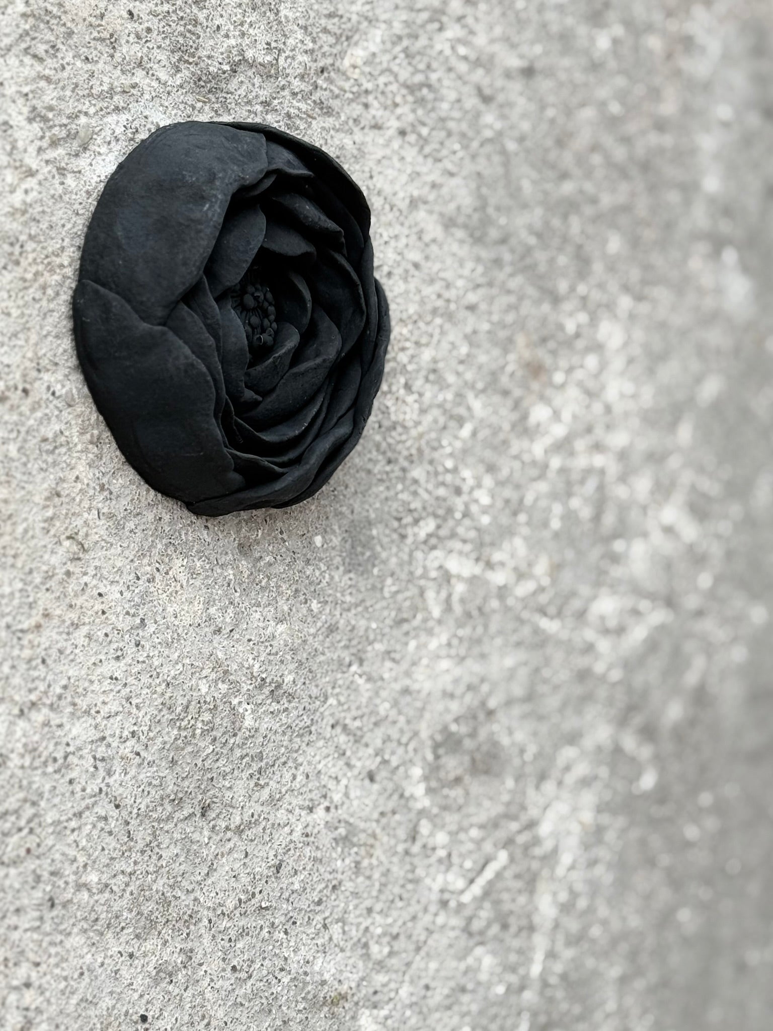 Globeflower Bloom 8cm